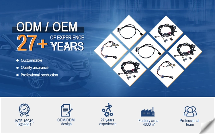 Professional Cables Assembly Supplier High Quality OEM ODM Custom Cable Custom Wire Harness